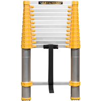 Telescopic Ladder, 3' - 12', Aluminum, 250 lbs. Capacity, Type 1 Seagulf Marine Industries Inc.