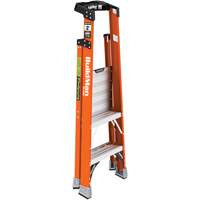 Safespace Platform Step Ladder, 2', 300 lbs. Cap. Seagulf Marine Industries Inc.