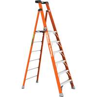 Safespace Platform Step Ladder, 6', 300 lbs. Cap. Seagulf Marine Industries Inc.
