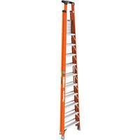 Safespace Platform Step Ladder, 10', 300 lbs. Cap. Seagulf Marine Industries Inc.