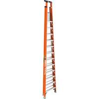 Safespace Platform Step Ladder, 12', 300 lbs. Cap. Seagulf Marine Industries Inc.