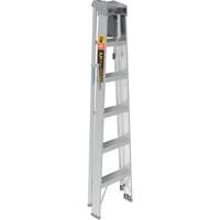 Step Ladder with Paint Tray, 6', Aluminum, 225 lbs. Capacity, Type 2 Seagulf Marine Industries Inc.