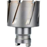 Fraise avec tenon &agrave; changement rapide Drive Hawg, Diam&egrave;tre de 2", Acier, Profondeur de la coupe de 1" Seagulf Marine Industries Inc.