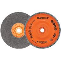 Blendex U Finishing Cup Disc, 5" Dia., Fine Grit, Silicon Carbide Seagulf Marine Industries Inc.