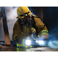 Lanterne, DEL,  Lumens, Piles C Seagulf Marine Industries Inc.