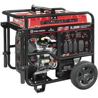 G&eacute;n&eacute;ratrice &agrave; essence &agrave; deux cylindres en V, 15 000 W de surtension, 12 500 W nominale, 120 V/240 V, R&eacute;servoir de 40 L Seagulf Marine Industries Inc.