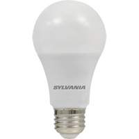 Ampoule DEL, A19, 8,5 W, 800 lumens, base Moyen Seagulf Marine Industries Inc.