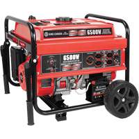 G&eacute;n&eacute;ratrice &agrave; essence &agrave; d&eacute;marrage &eacute;lectrique avec ensemble de roues, 6500 W de surtension, 5000 W nominale, 120 V/240 V, R&eacute;servoir de 20 L Seagulf Marine Industries Inc.