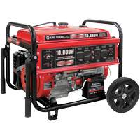 G&eacute;n&eacute;ratrice &agrave; essence &agrave; d&eacute;marreur &eacute;lectrique, 10000 W de surtension, 7500 W nominale, 120 V/240 V, R&eacute;servoir de 25 L Seagulf Marine Industries Inc.