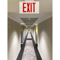 Exit Sign, LED, Battery Operated/Hardwired, 12-1/5" L x 7-1/2" W, English Seagulf Marine Industries Inc.