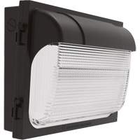 TWX Wall Luminaire, LED, 480 V, 9 W - 54 W, 14" H x 18" W x 5" D Seagulf Marine Industries Inc.