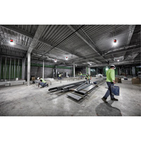 RADIUS Temporary Site Light, LED, 130 W, 15000 Lumens Seagulf Marine Industries Inc.