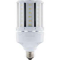 Ampoule HID de remplacement s&eacute;lectionnable ULTRA LED, E26, 18 W, 2700 lumens Seagulf Marine Industries Inc.