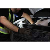 Work Light, Neck Light, Rechargeable, 300 Lumens Seagulf Marine Industries Inc.