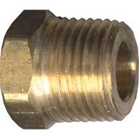 Hex Head Cored Plug, Pipe, 1/8" Dia., Brass Seagulf Marine Industries Inc.