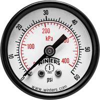 Economy Pressure Gauge, 1-1/2" , 0 - 60 psi, Back Mount, Analogue Seagulf Marine Industries Inc.