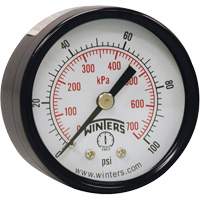 Economy Pressure Gauge, 2" , 0 - 160 psi, Back Mount, Analogue Seagulf Marine Industries Inc.